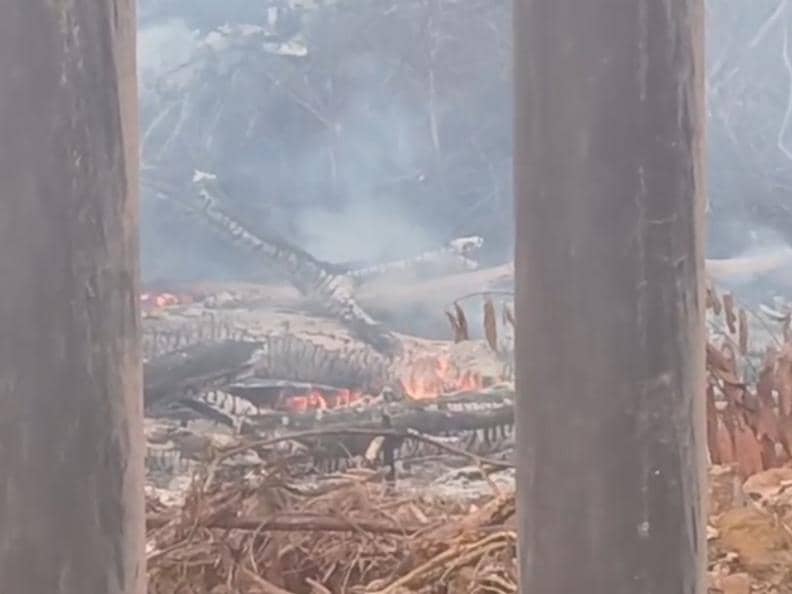 Penampakan api karhutla di kawasan Way Kambas, Lampung Timur melalap pagar barrier penanggulangan konflik gajah