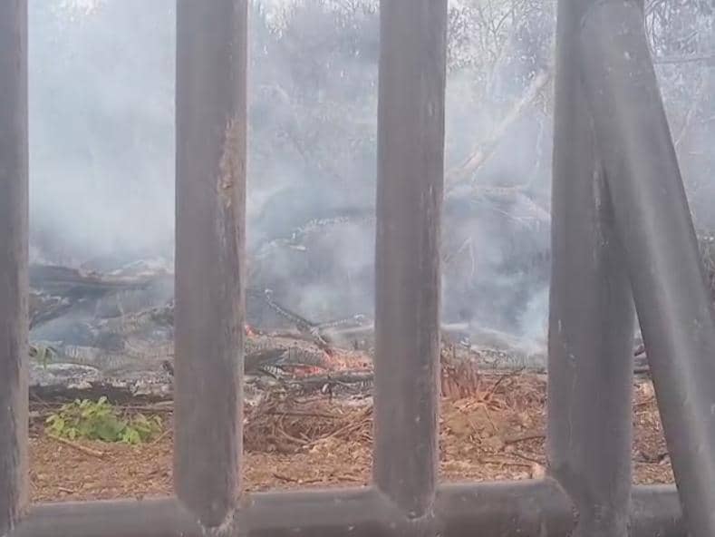 Penampakan api karhutla di kawasan Way Kambas, Lampung Timur melalap pagar barrier penanggulangan konflik gajah