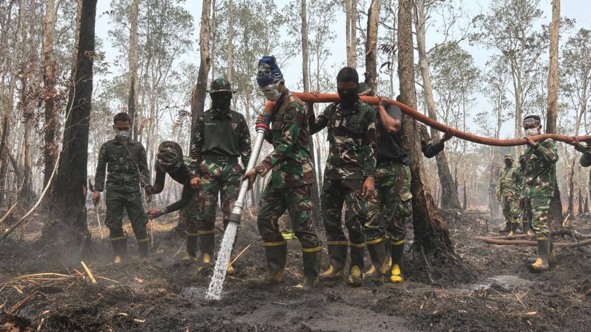 Anggota DPR Minta Pemerintah Fokus Padamkan Karhutla Sebulan ke Depan