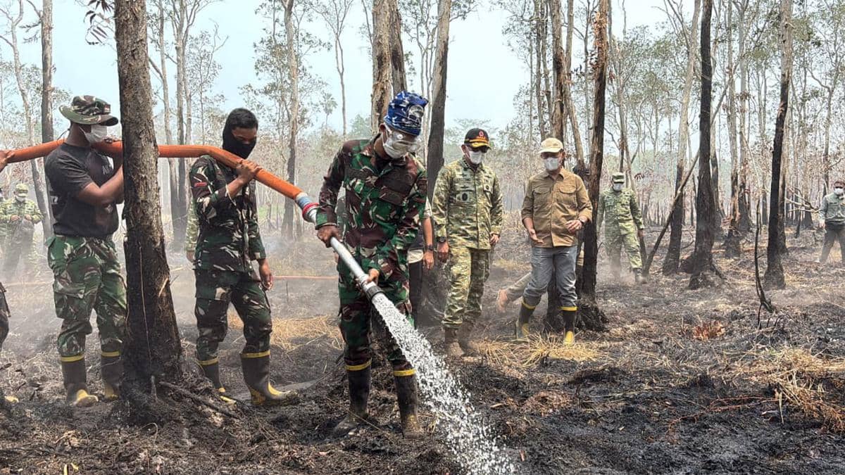 BNPB Ungkap 3.392 Hektare Lahan di Kalimantan Masih Dilalap Api