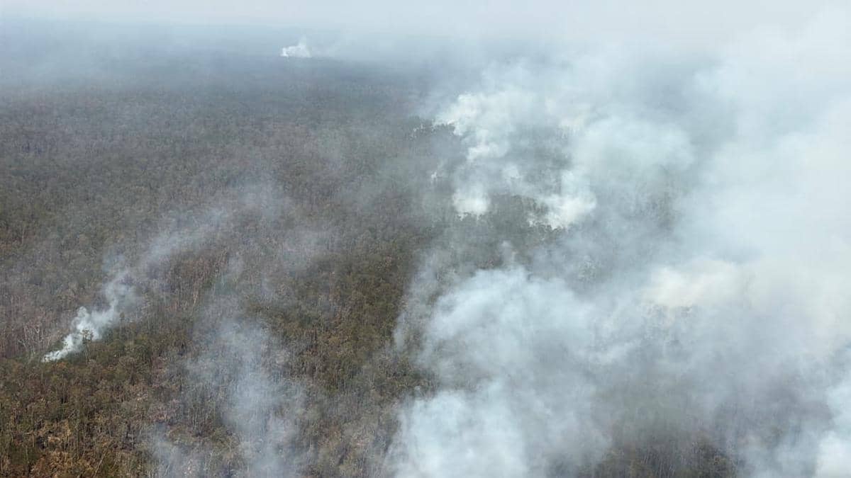 Kebakaran hutan dan lahan (karhutla) (Dok. BNPB)