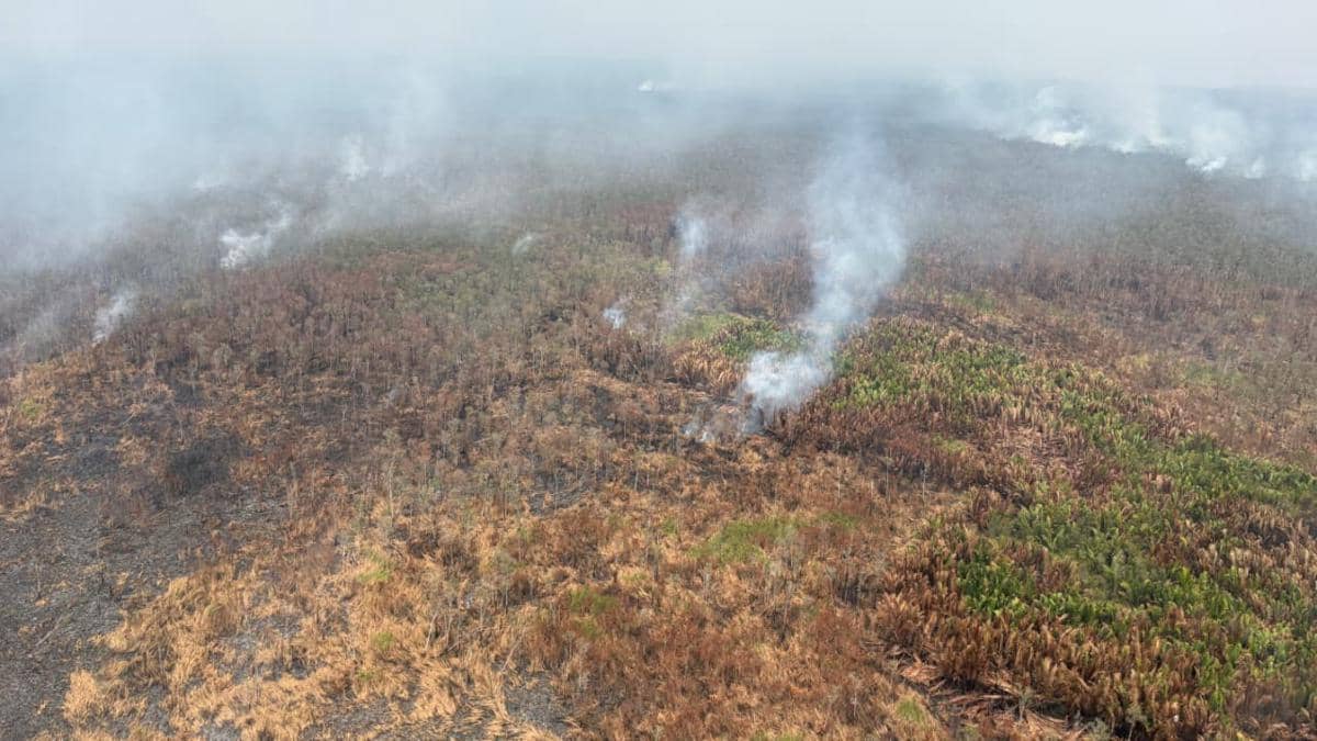 Ilustrasi kebakaran hutan dan lahan (karhutla). (Dok. BNPB)