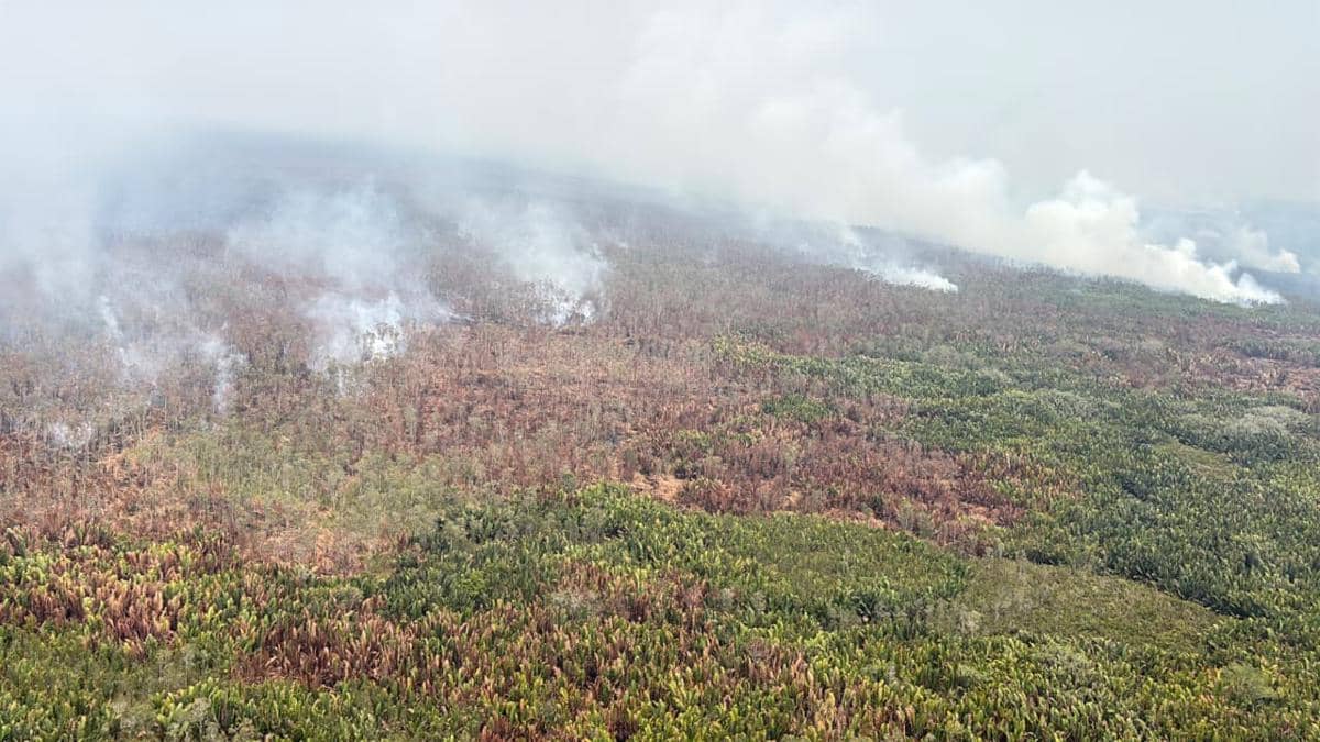 Ilustrasi kebakaran hutan dan lahan (karhutla). (Dok. BNPB)