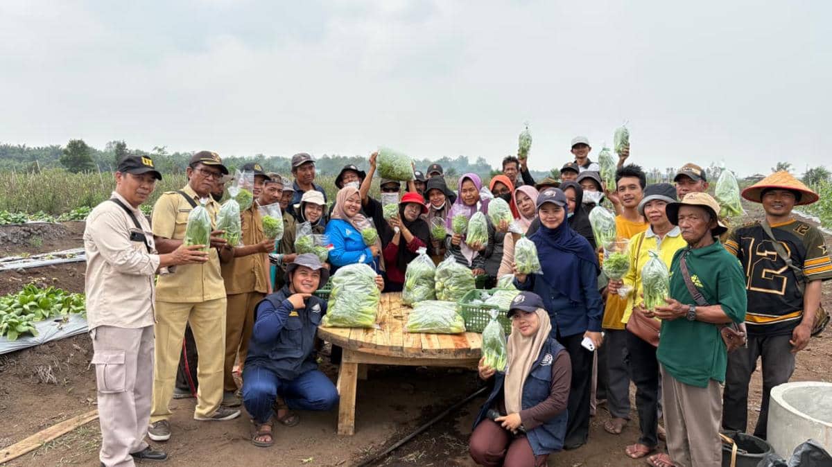 Kementerian Transmigrasi Dorong Petani Pasok Sayuran ke SPPG