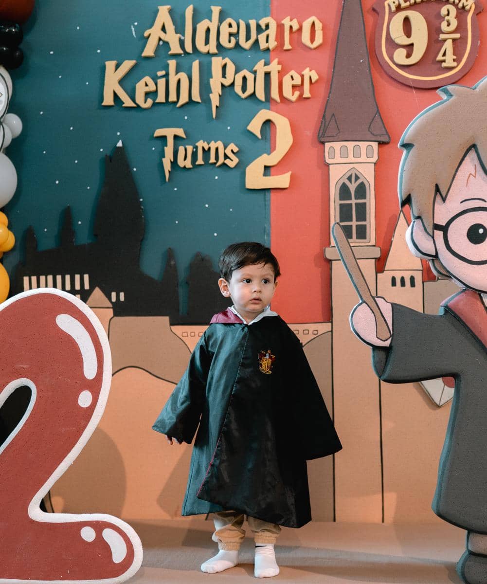 Dekorasi Ultah anak bertema Harry Potter