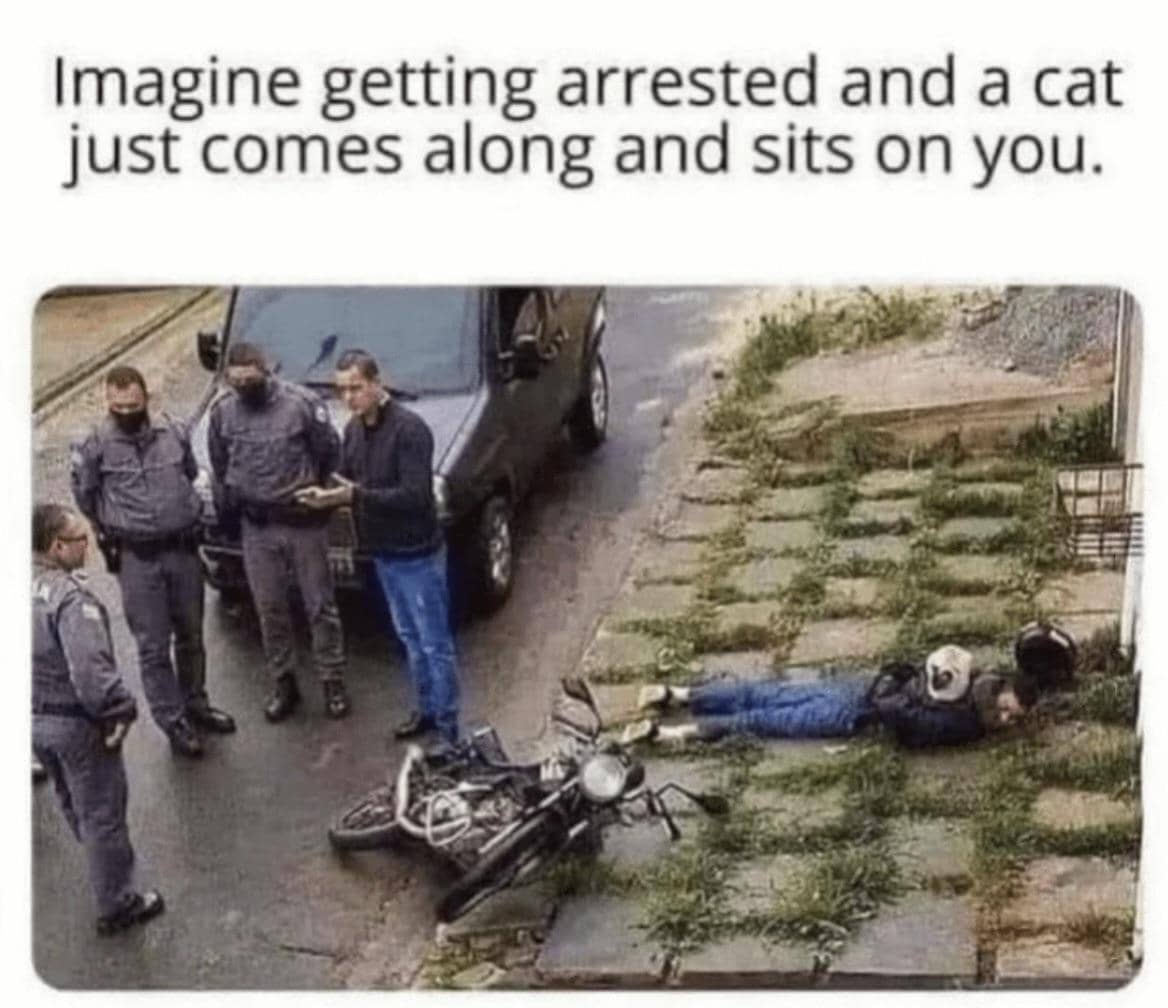 meme kucing tentang polisi