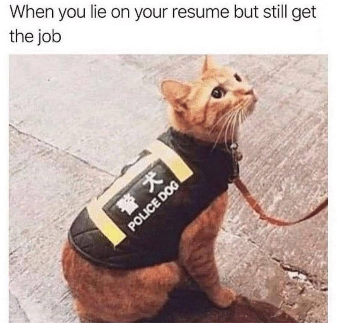 meme kucing tentang polisi