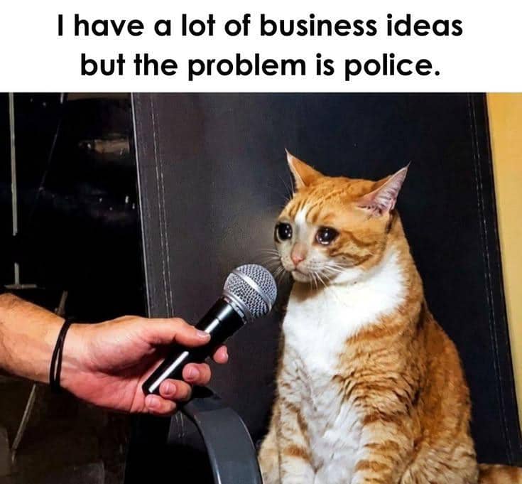 meme kucing tentang polisi