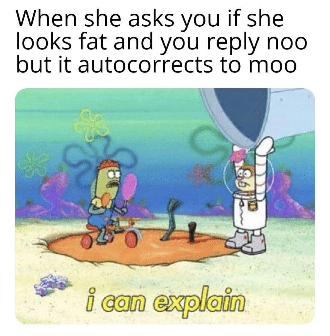 meme SpongeBob tentang momen gak disengaja