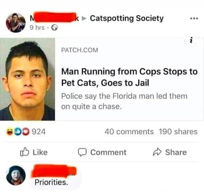 meme kucing tentang polisi