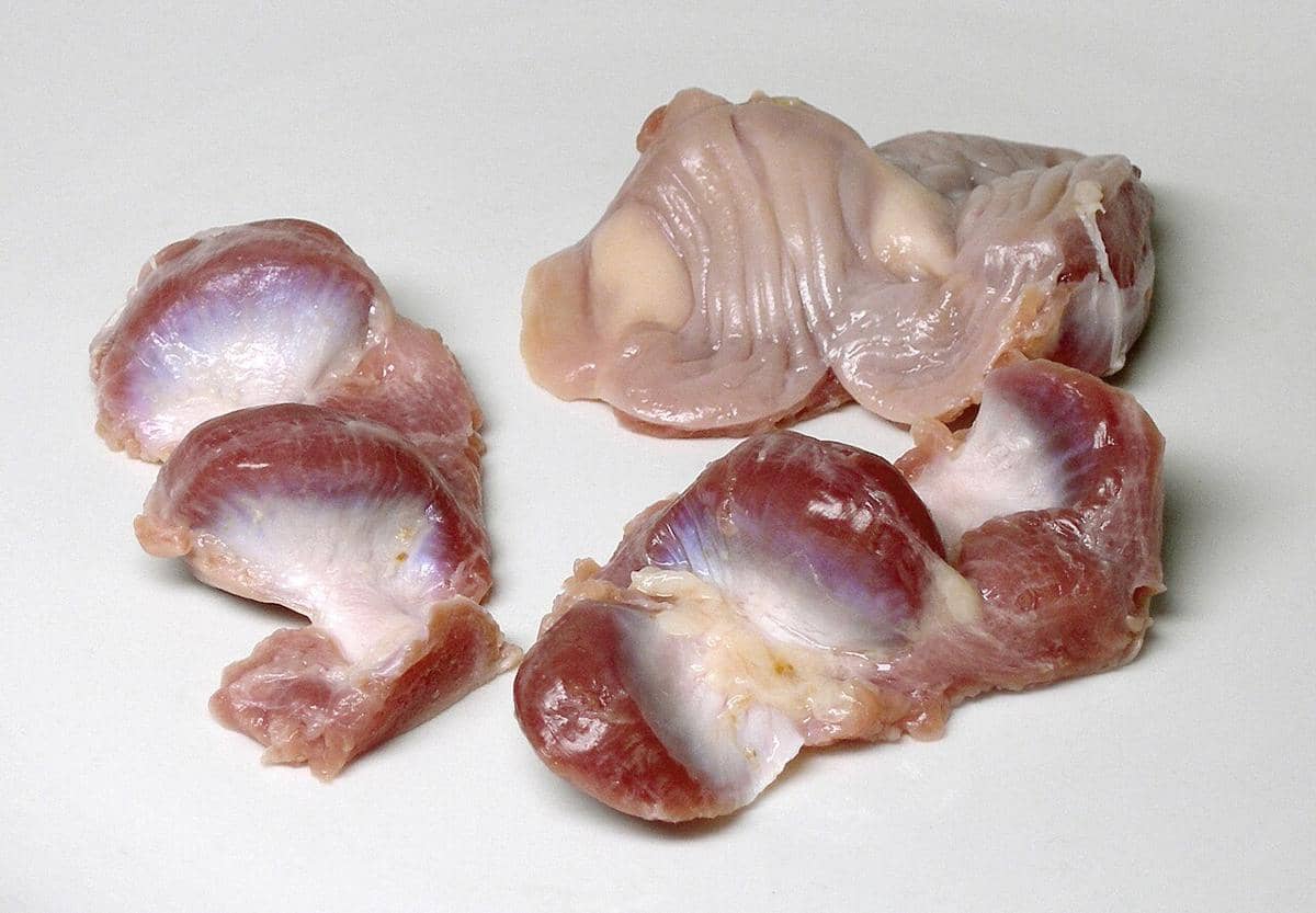 Ampela Ayam Tinggi Protein dan Zat Besi, Berapa Porsi yang Aman?