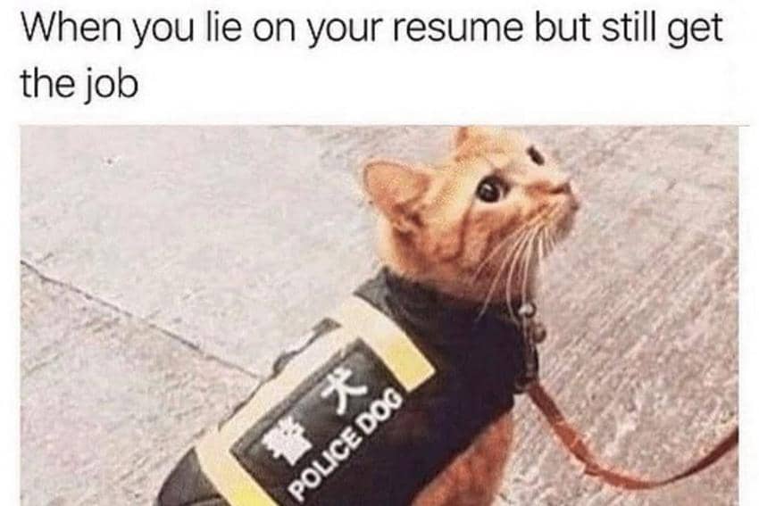 8 Meme Kucing tentang Polisi, Malah Gabung Jadi Anggota