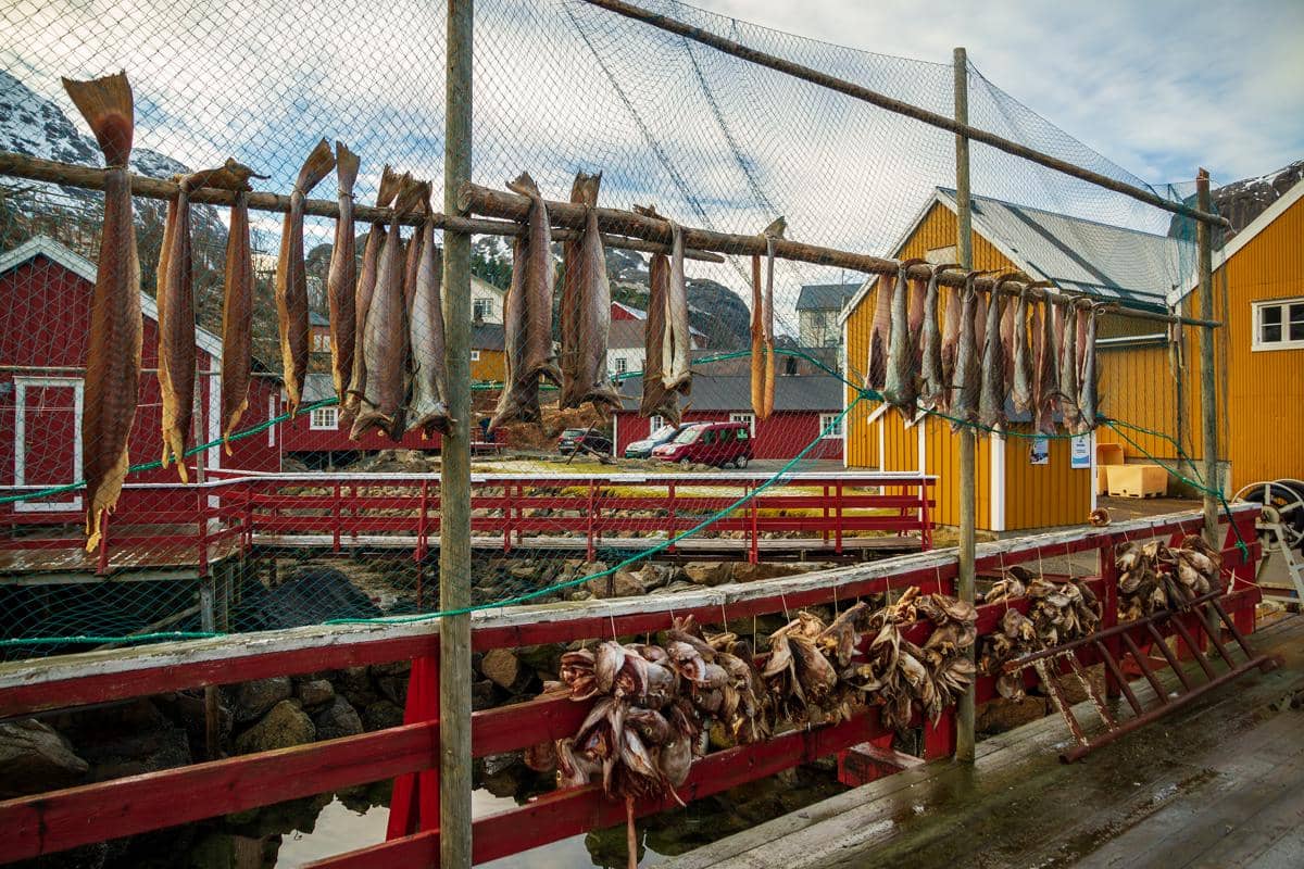 stockfish