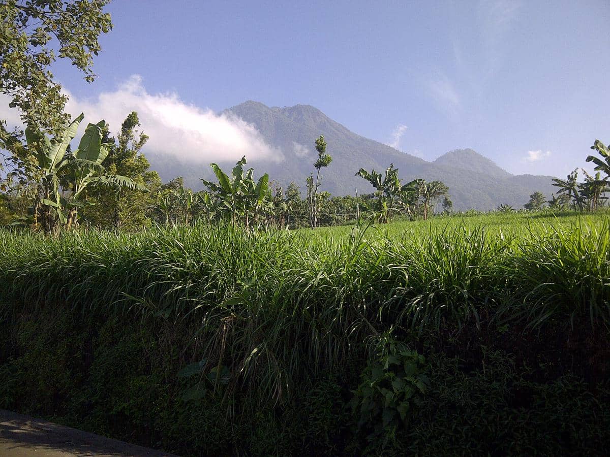 Pendakian Puncak Kawinajang Gunung Dibuka Lagi, Pahami Rutenya!