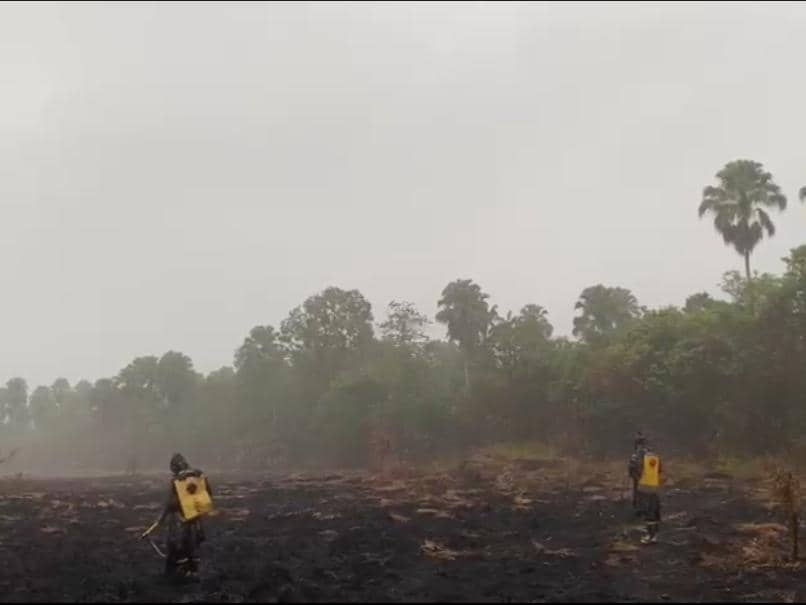 Potret udara terkini kondisi kawasan Taman Nasional Way Kambas (TNWK), Lampung Timur, Rabu (28/10/2026)
